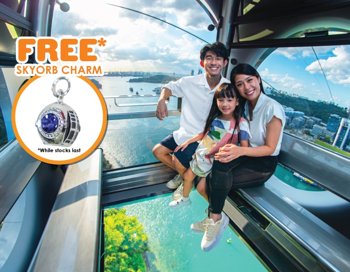 SkyOrb (1 Round Trip) + FREE* SkyOrb Charm